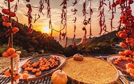 节气 秋分|天地藏秋意 清风拂...